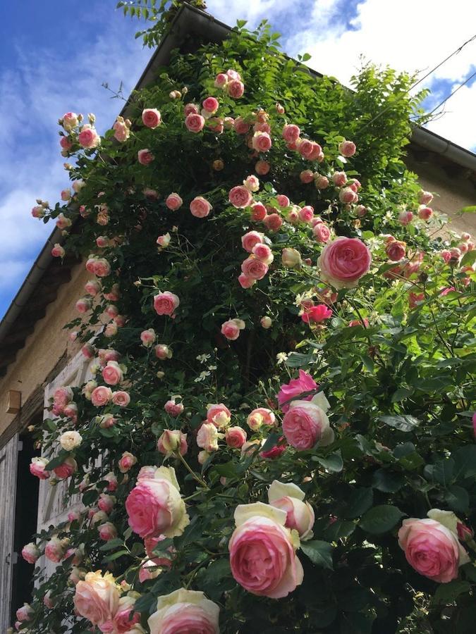 Les Jardins Des Soussilanges Acomodação com café da manhã Céron Exterior foto