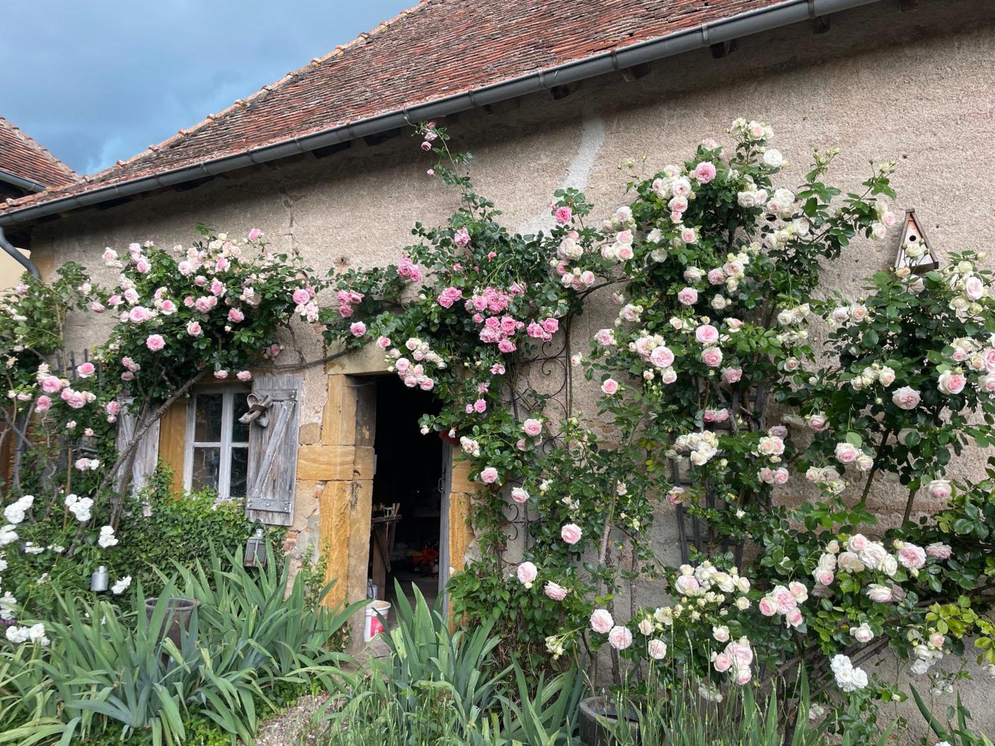 Les Jardins Des Soussilanges Acomodação com café da manhã Céron Exterior foto