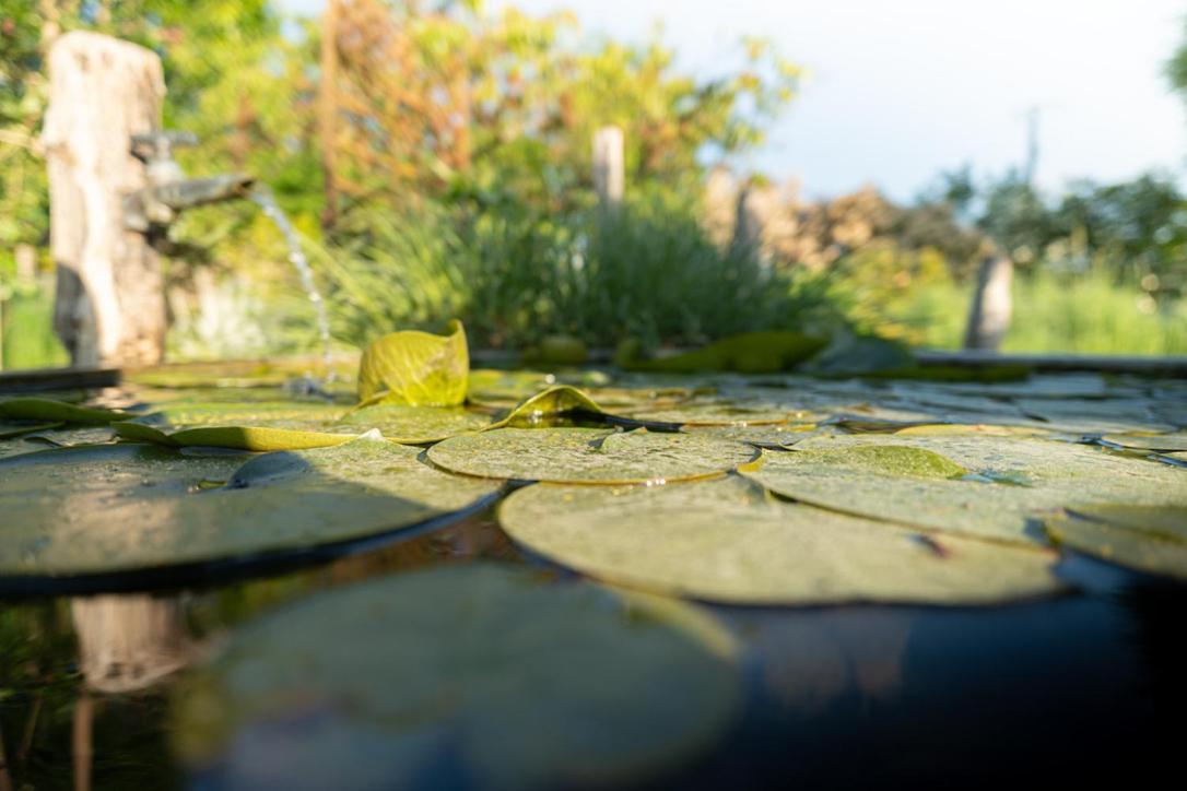 Les Jardins Des Soussilanges Céron Exterior foto